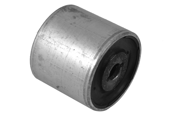 Mounting, control/trailing arm 00419750