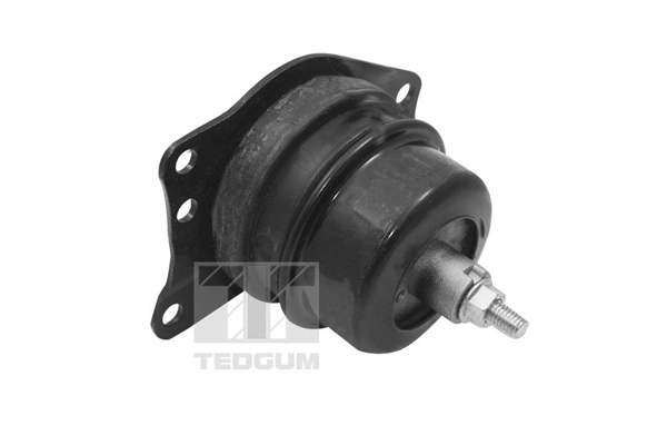 Mounting, engine TED40385