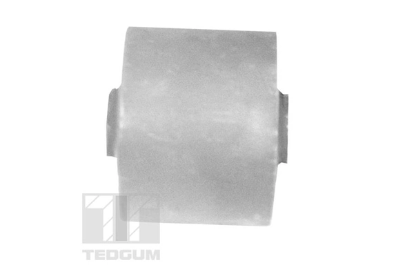 TEDGUM 00441768 Mounting, control/trailing arm