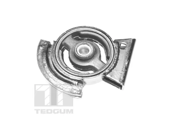 TEDGUM 00672558 Mounting, engine