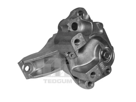 TEDGUM 00269468 Mounting, engine
