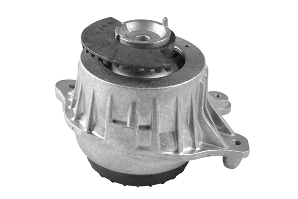 TEDGUM TED53873 Mounting, engine