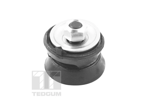 TEDGUM TED56833 Repair Kit, control arm