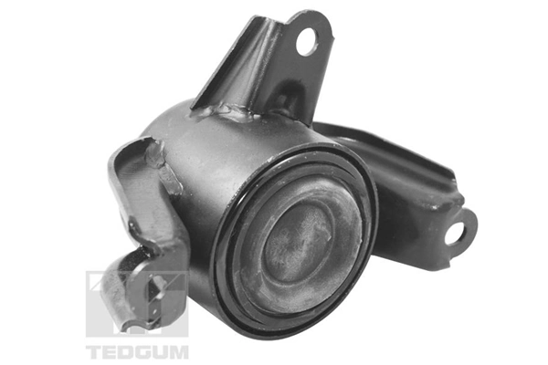 TEDGUM TED95921 Mounting, engine