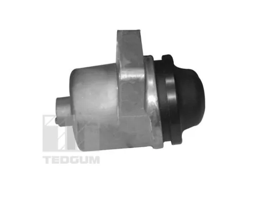TEDGUM 00399821 Mounting, engine