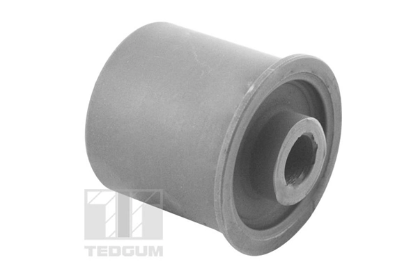 TEDGUM TED49482 Mounting, control/trailing arm