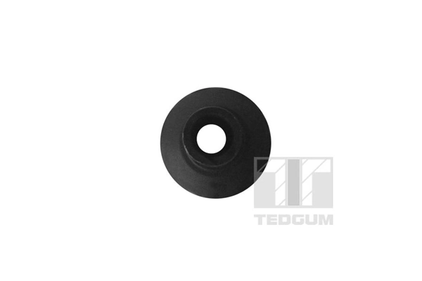 TEDGUM 00398165 Mounting, control/trailing arm