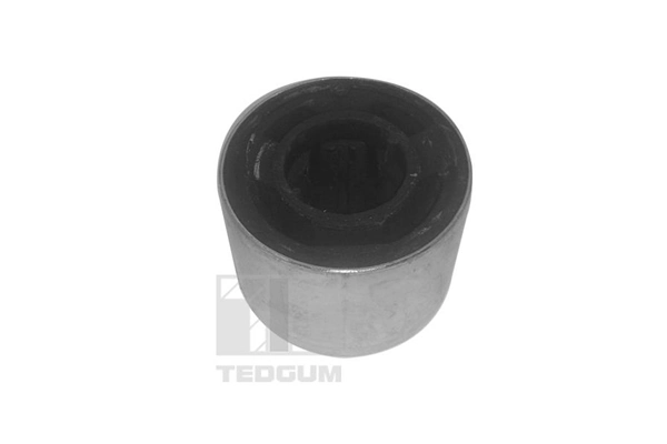 TEDGUM 00024603 Mounting, control/trailing arm