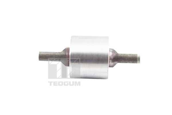 TEDGUM TED13672 Mounting, control/trailing arm
