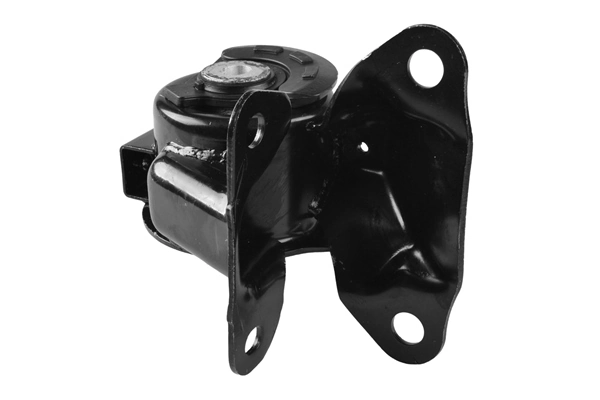 TEDGUM TED55713 Mounting, engine