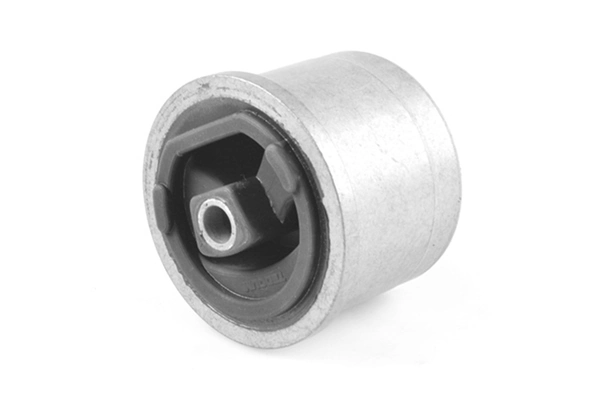 TEDGUM 00749483 Mounting, engine