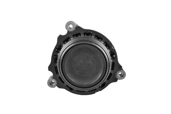 Mounting, engine TED98788