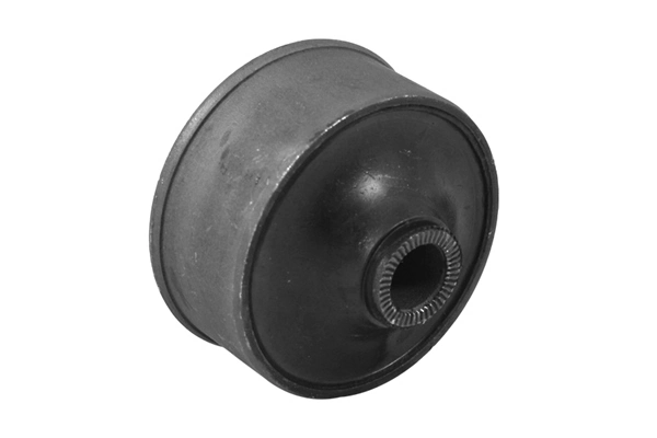 Mounting, control/trailing arm 00670226