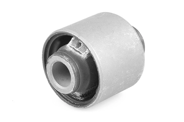 Mounting, differential 00445882