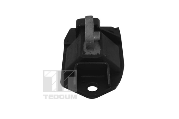 TEDGUM 00748055 Mounting, engine