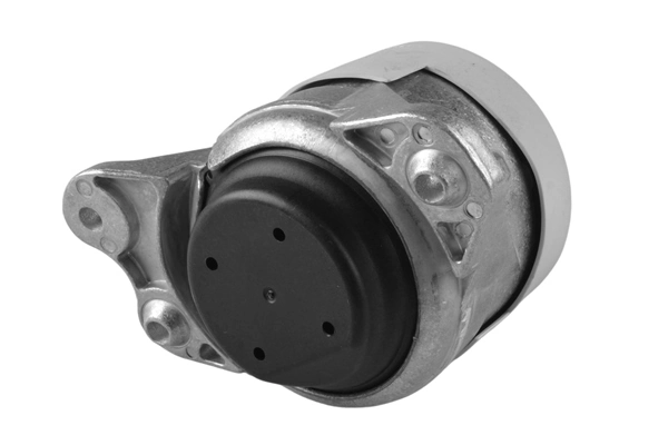 TEDGUM TED40269 Mounting, engine