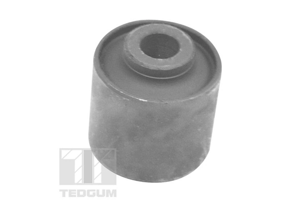 Mounting, control/trailing arm TED54699