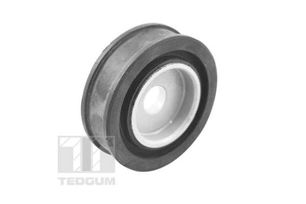 TEDGUM 00146487 Mounting, manual transmission support
