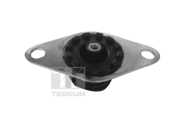 TEDGUM 00215024 Mounting, engine
