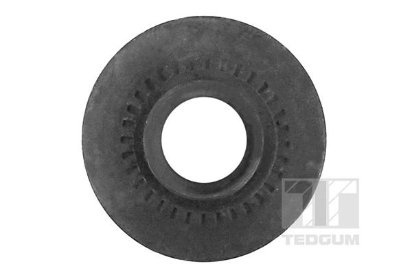 Mounting, leaf spring 00221952