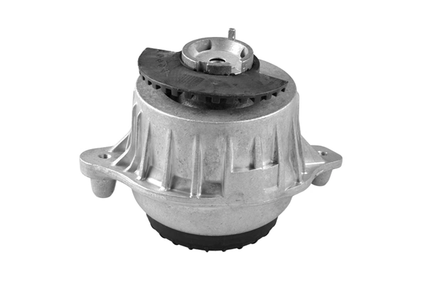 Mounting, engine TED98110