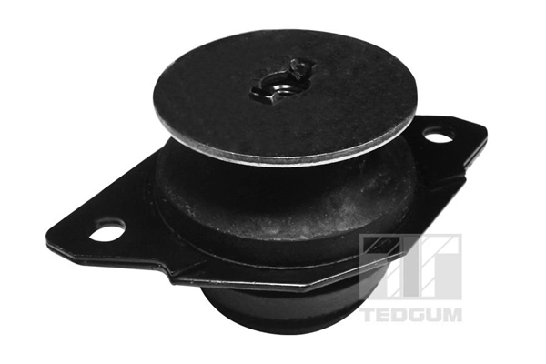 Mounting, manual transmission support 00725600