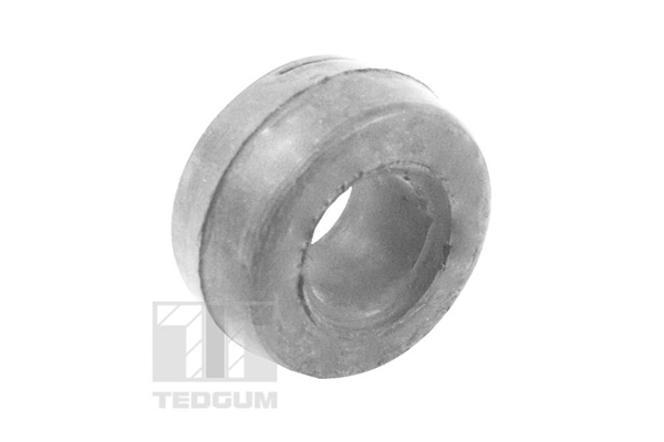 TEDGUM 00672398 Mounting, control/trailing arm