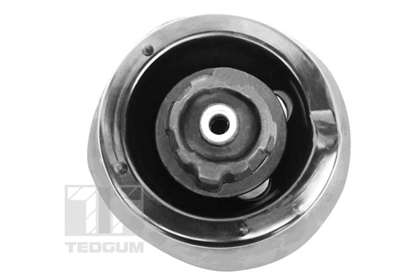 TEDGUM 00418499 Suspension Strut Support Mount