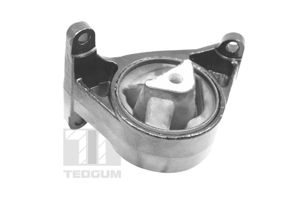 TEDGUM TED11987 Mounting, engine