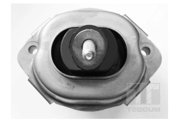 TEDGUM 00088466 Mounting, engine
