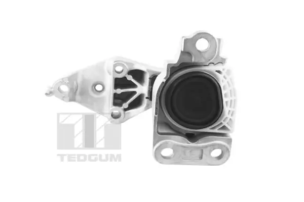 TEDGUM TED81471 Mounting, engine