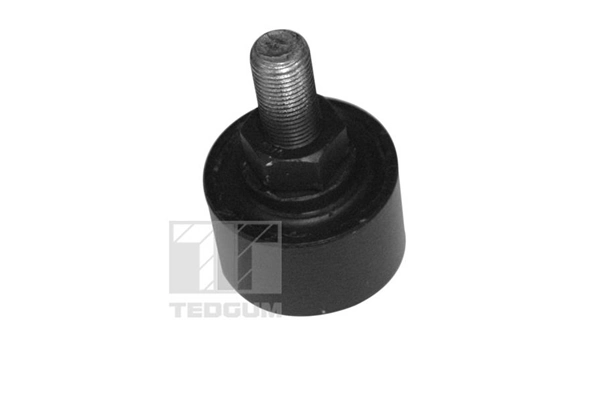 TEDGUM 00979596 Mounting, control/trailing arm