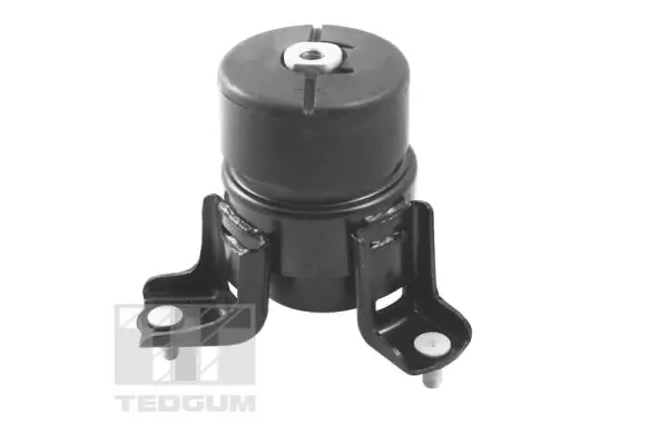 Mounting, engine TED62860