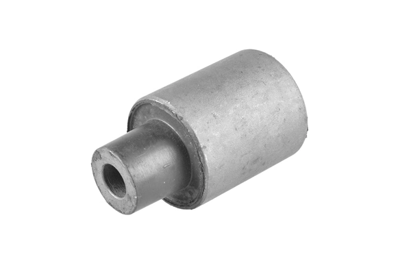 Mounting, control/trailing arm 00024793