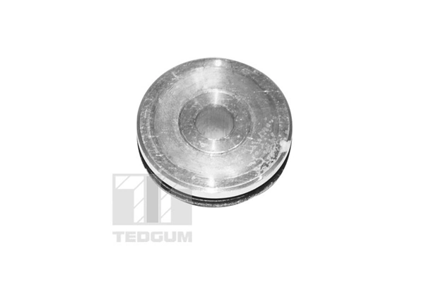 TEDGUM 00059616 Mounting, control/trailing arm