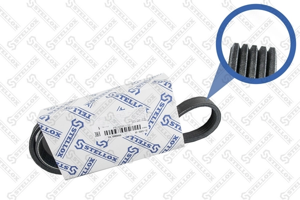 V-Ribbed Belt 05-00869-SX