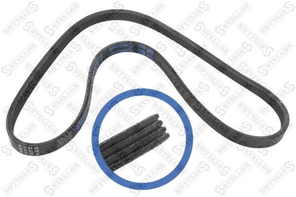 V-Ribbed Belt 04-00922-SX