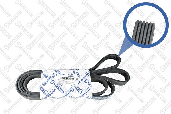 V-Ribbed Belt 06-02585-SX