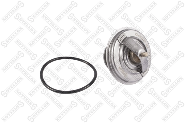 Thermostat, coolant 23-40023-SX