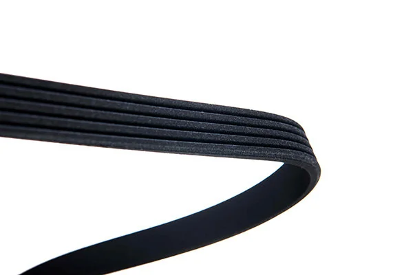 V-Ribbed Belt 05-01370-SX