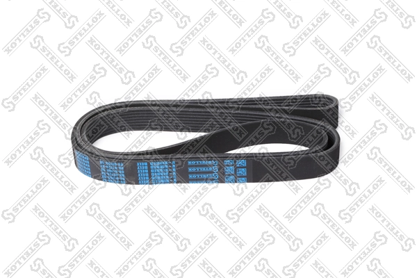 V-Ribbed Belt 08-01755-SX