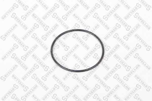 Gasket, vacuum pump 11-25425-SX