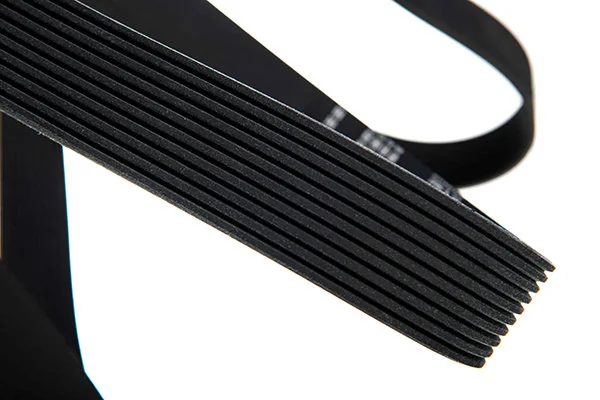 V-Ribbed Belt 10-01805-SX