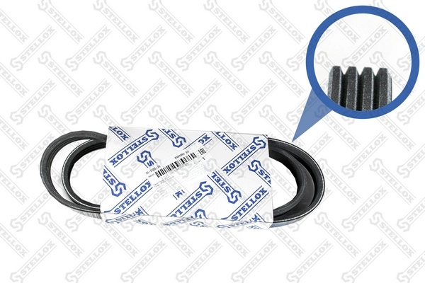 V-Ribbed Belt 04-01065-SX