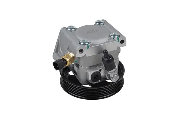 Hydraulic Pump, steering 00-36359-SX