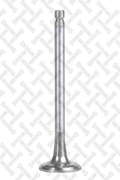 Exhaust Valve 01-24387-SX