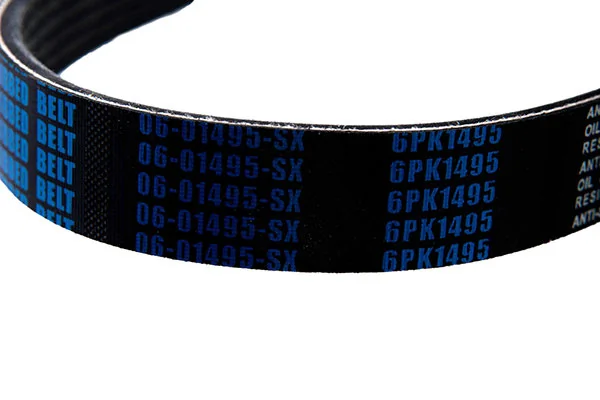 V-Ribbed Belt 06-01495-SX