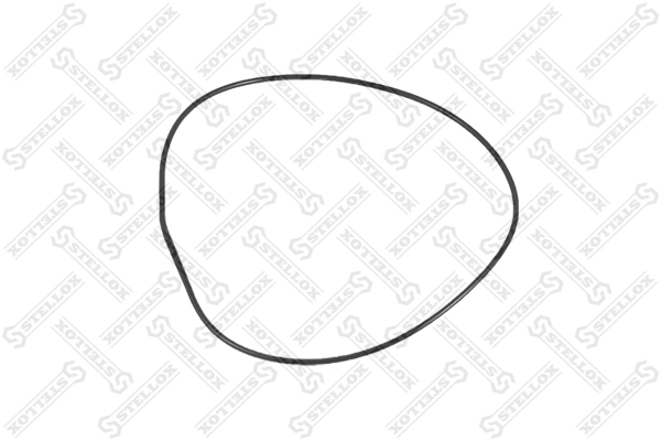 Seal Ring 89-01052-SX