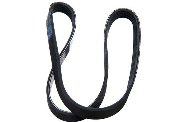 V-Ribbed Belt 05-00950-SX