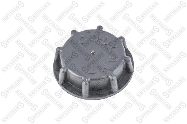 Cap, coolant tank 89-05205-SX
